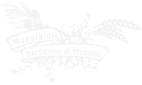 logo maggiaioli di barberino di mugello